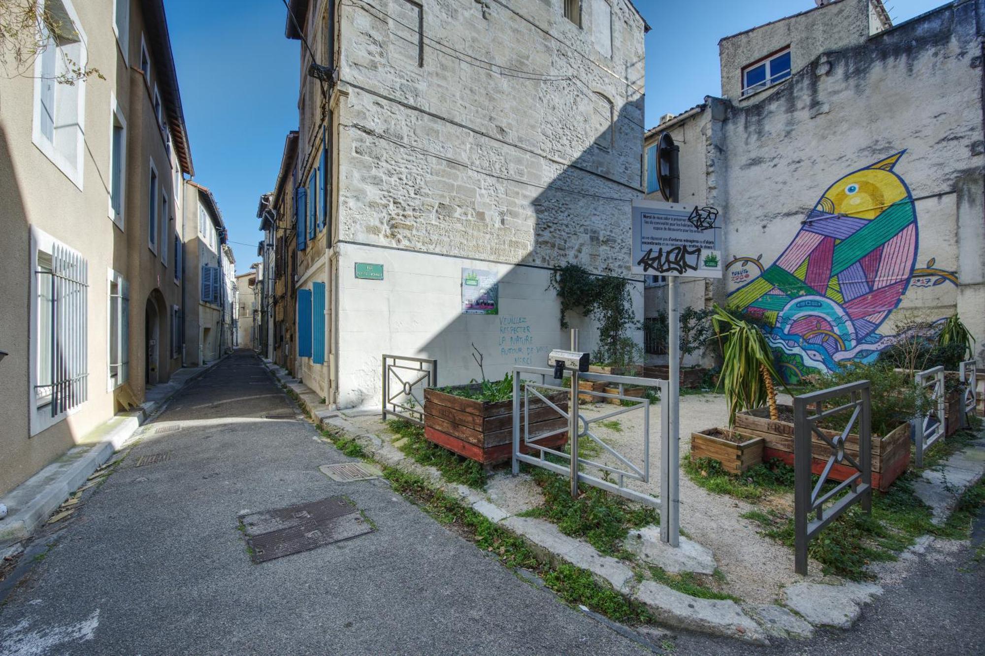 Appartement Cosy Avignon Centre-Ville Εξωτερικό φωτογραφία